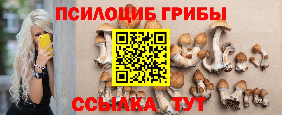 Галлюциногенные грибы MAGIC MUSHROOMS  Галлюциногенные грибы GOLDEN TEACHER  Вход с VPN  Белово 